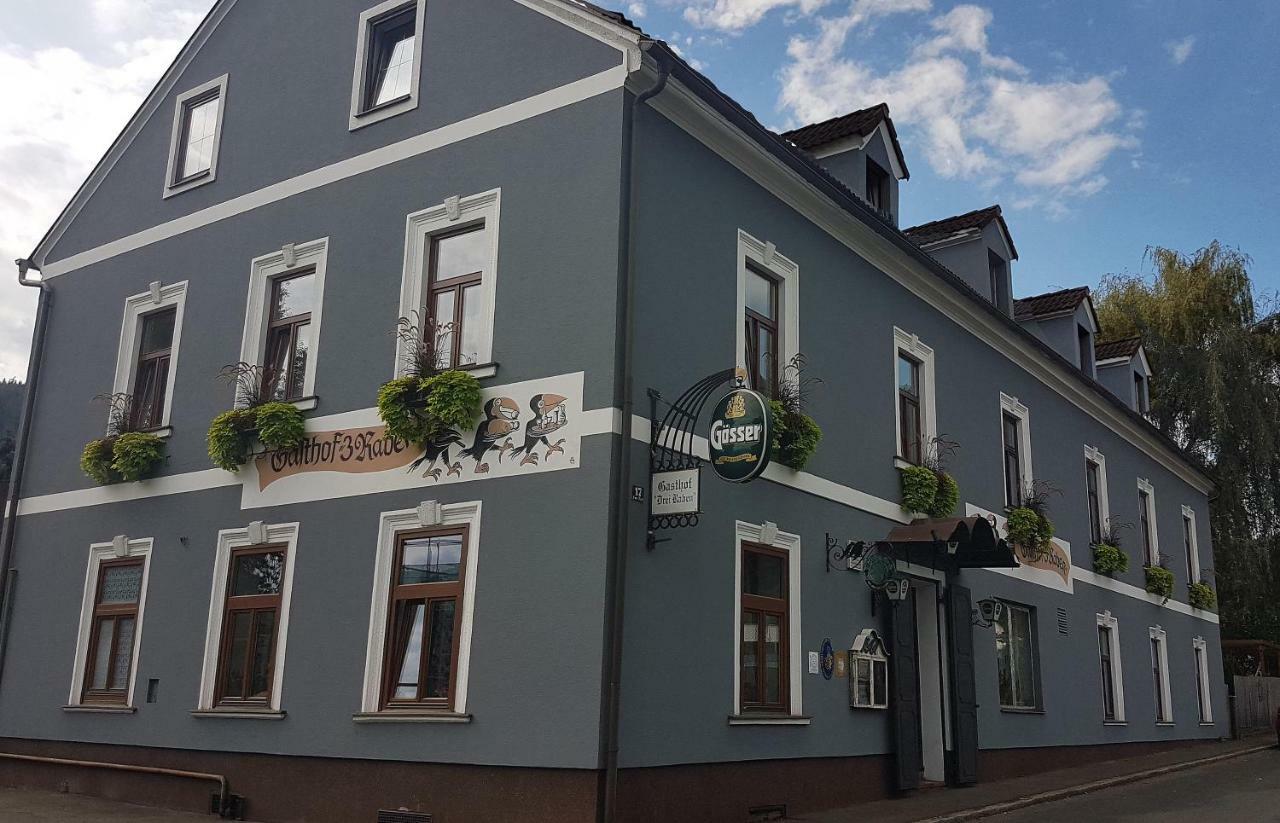 3 Raben - Leoben - Zimmer Fuer Geschaeftsreisende, Urlauber, Monteure Und Handwerker, Polski Pensjonat Austria Dış mekan fotoğraf